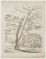 TvB T 013
<br/>
Landschap met geknapte boom
<br/>
<em>Anoniem (18de eeuw)</em>